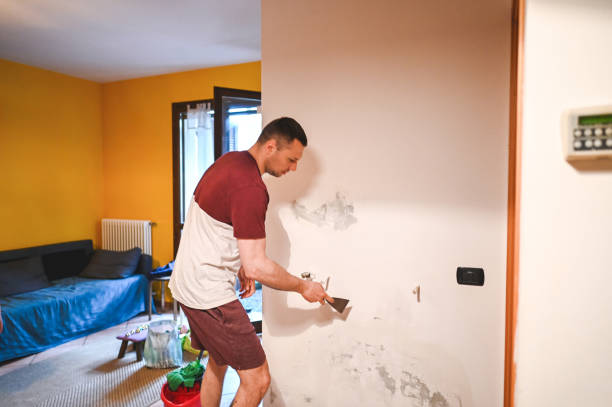 Best Basement Mold Remediation in Abbeville, LA